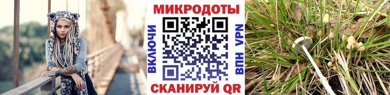 Галлюциногенные грибы мицелий  Нея 